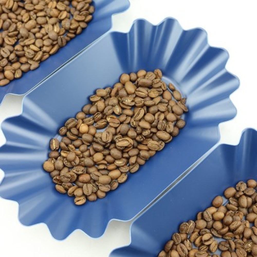 Rhino Bean Tray Blue 12 τεμάχια