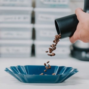 Rhino Bean Tray Blue 12 τεμάχια