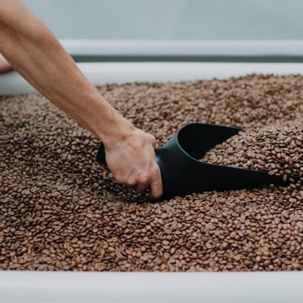 Rhino Bean Scoop 1kg capacity Rhino Bean Scoop 1kg capacity