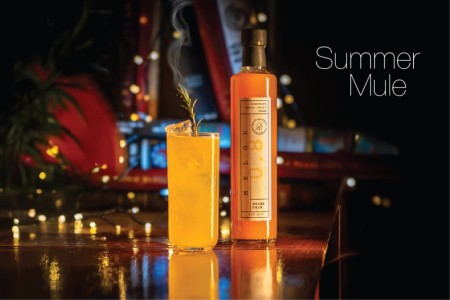 ΟΠΩΡΑ Melon Fruit Puree 500ml